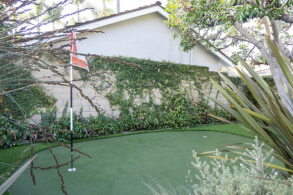 61-P-02-Modern Ranch8018