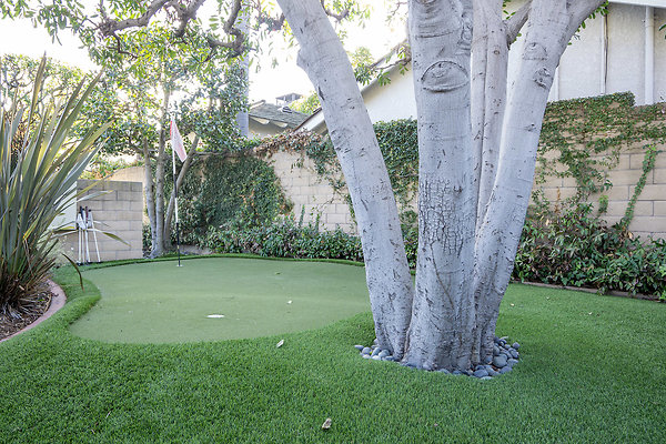 62-P-02-Modern Ranch8019