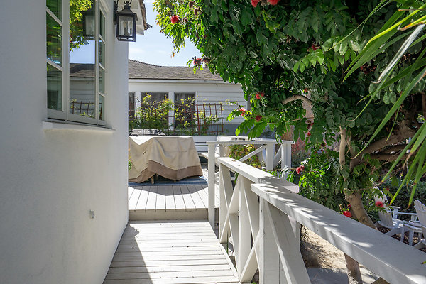 19-P-Trad-077531 19-P-Trad-077531