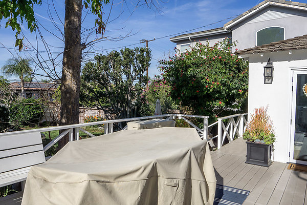 21-P-Trad-077533 21-P-Trad-077533