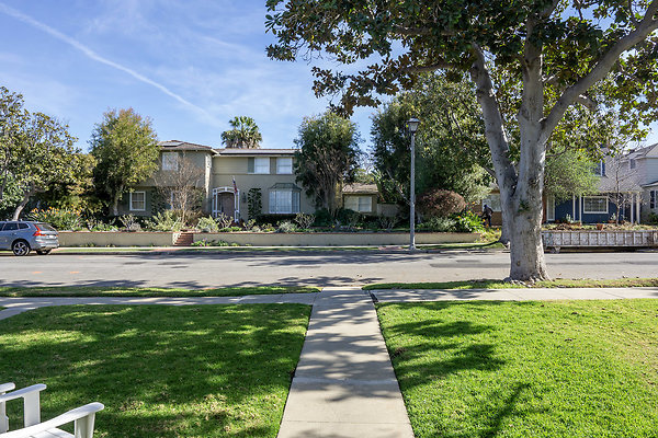 7-P-Trad-077519 7-P-Trad-077519