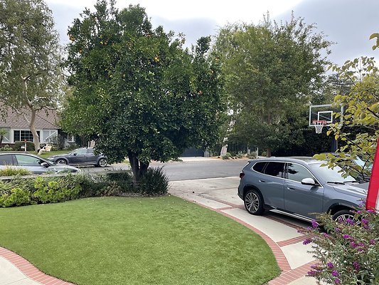 0IMG 00508 0IMG 00508