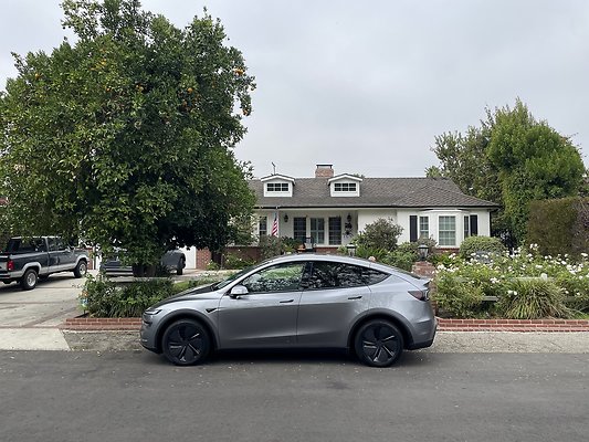 0IMG 00505 0IMG 00505